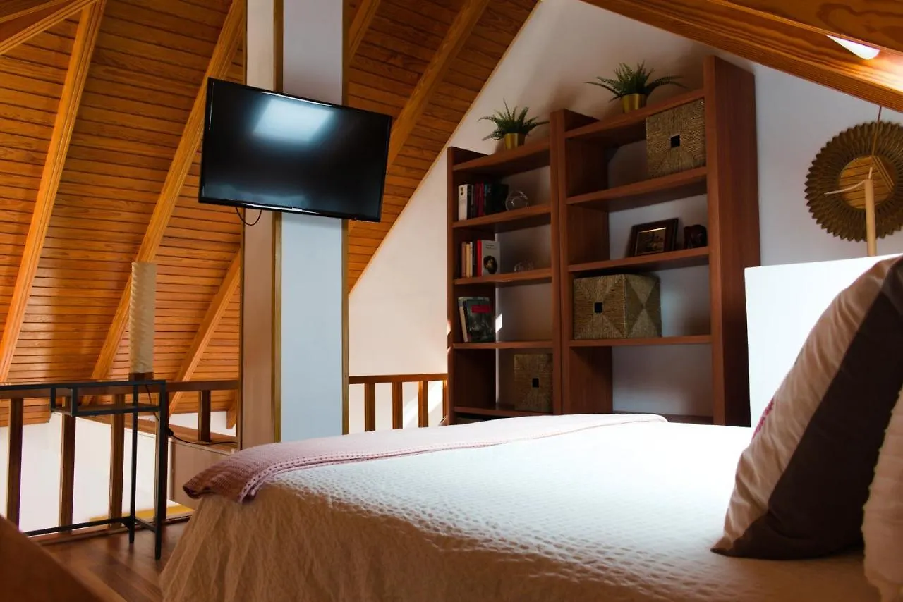 Lujoso Y Moderno Duplex Con Fantastica Terraza Apartment La Laguna  Spain