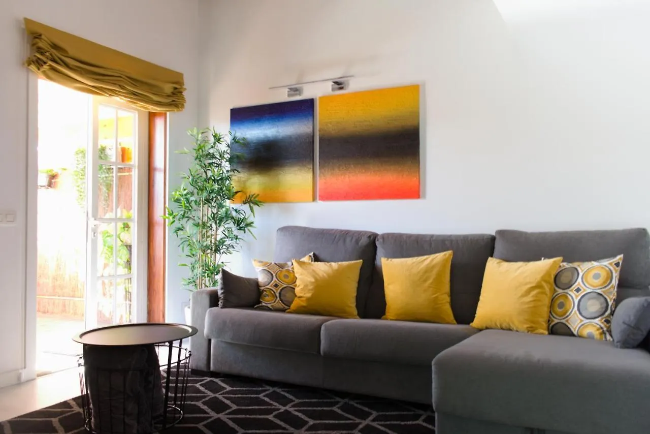 Lujoso Y Moderno Duplex Con Fantastica Terraza Daire La Laguna  0*, La Laguna (Tenerife) İspanya