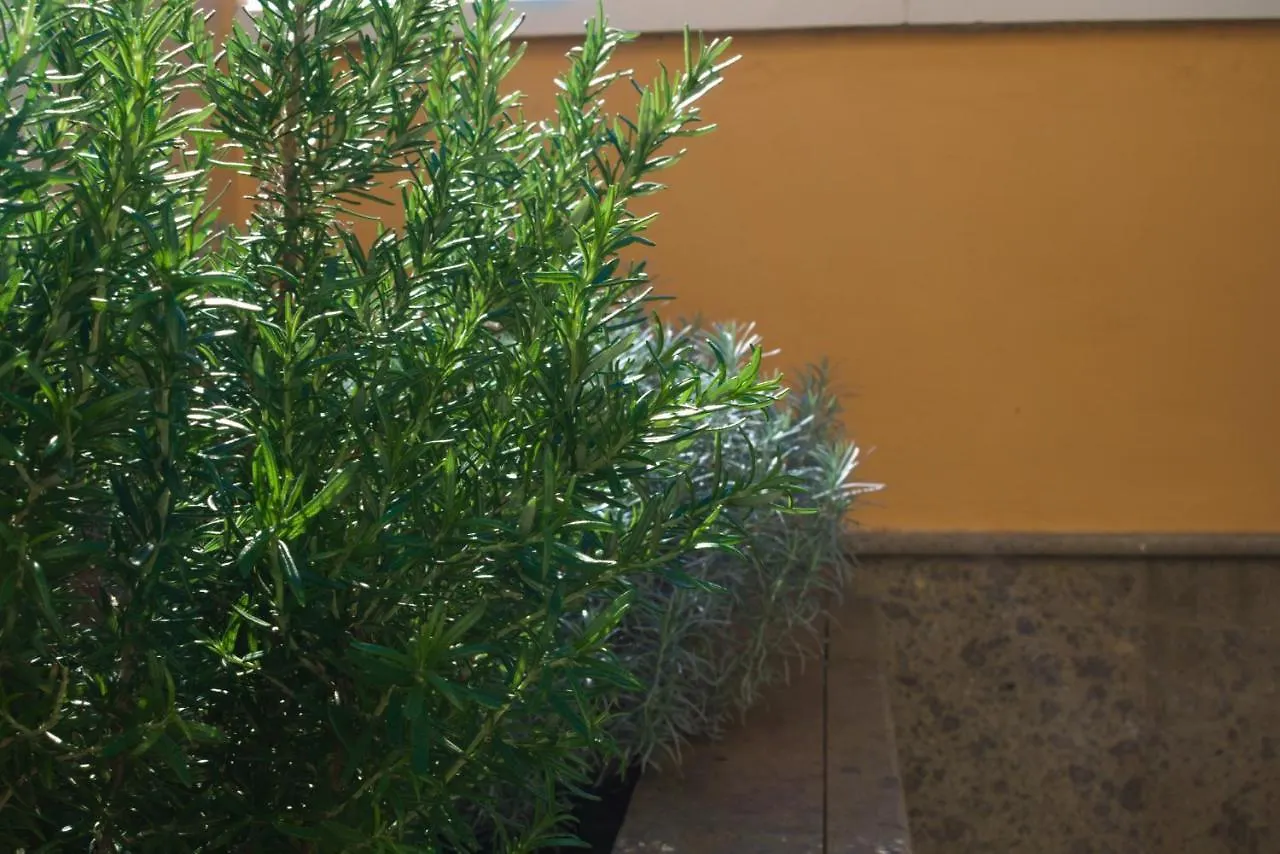 Lujoso Y Moderno Duplex Con Fantastica Terraza Daire La Laguna  İspanya